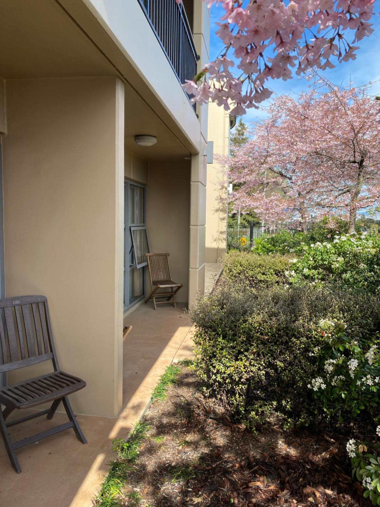 Saxton Lodge Nelson Bagian luar foto